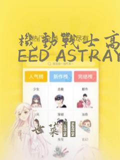 机动战士高达SEED ASTRAY R