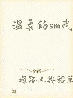 温柔的sm我