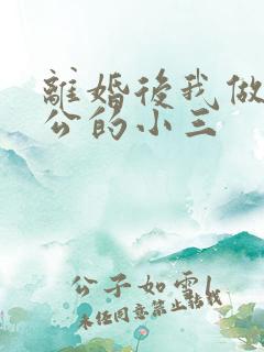 离婚后我做了老公的小三
