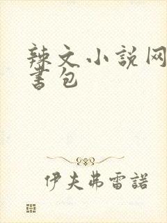 辣文小说网第二书包