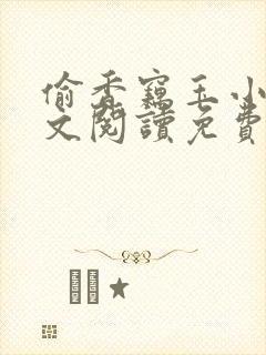 偷香窃玉小说全文阅读免费