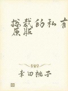 总裁的私有宝贝原版