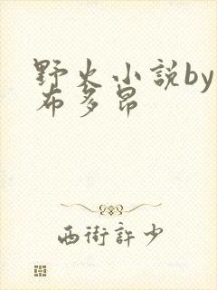 野火小说by夏布多昂