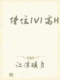 借住1V1高H