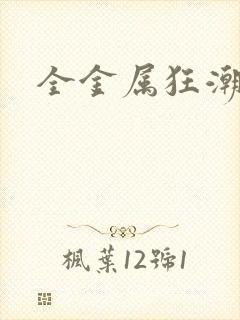 全金属狂潮小说