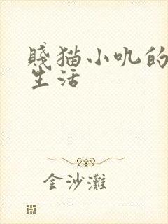 贱猫小叽的幸福生活