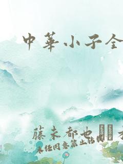 中华小子全集