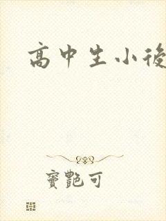 高中生小后妈