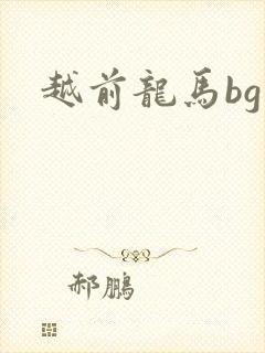 越前龙马bg