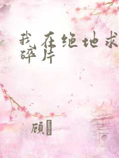 我在绝地求生捡碎片