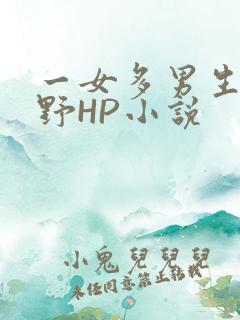 一女多男生活狂野HP小说