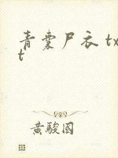 青囊尸衣 txt