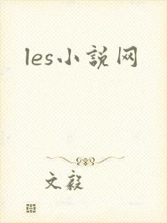 les小说网