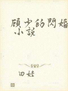 顾少的闪婚宠妻 小说