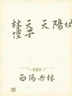 林天 天阳城 傻子