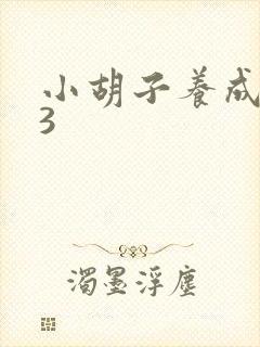 小胡子养成计划3