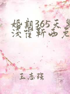 婚期365天慕浅霍靳西免费阅读