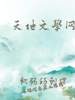 天地文学网