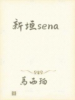 新垣sena
