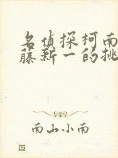 名侦探柯南给工藤新一的挑战书