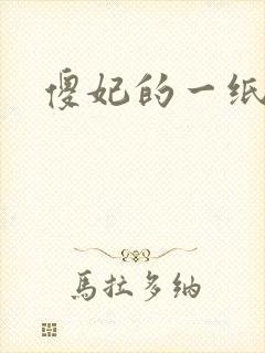 傻妃的一纸休书