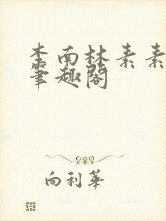 李南林素素小说笔趣阁