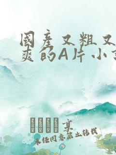 国产又粗又黄又爽的A片小说