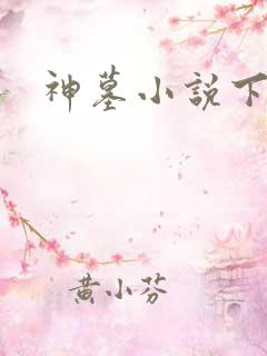 神墓小说下载