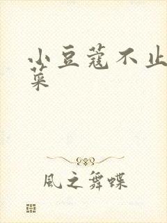 小豆蔻不止是颗菜