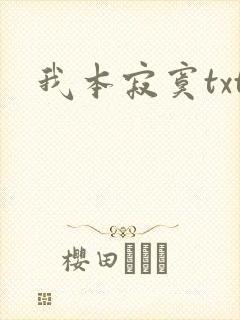 我本寂寞txt