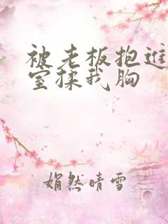 被老板抱进办公室揉我胸