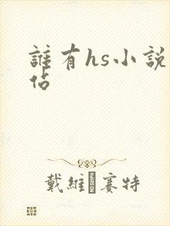 谁有hs小说网站