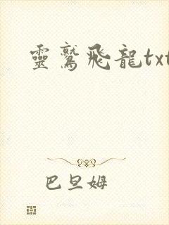 灵鹫飞龙txt