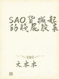 SAO货撅起你的贱屁股来