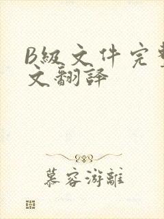 B级文件完整中文翻译