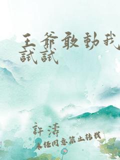王爷敢动我妈咪试试