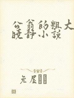 公翁的粗大放进晓静小说