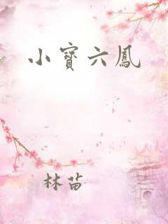 小宝六凤