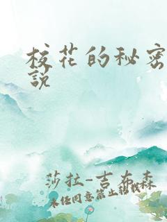 校花的秘密 小说