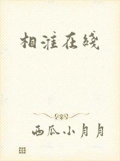 相淮在线