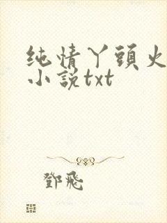 纯情丫头火辣辣小说txt