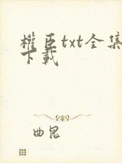 权臣txt全集下载