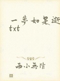 一梦如是逝水长txt