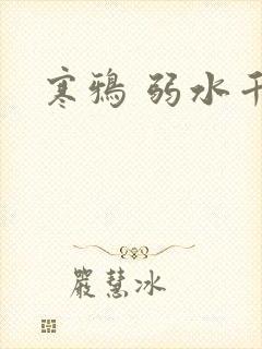 寒鸦 弱水千流