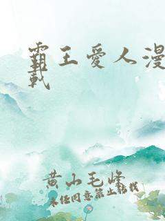 霸王爱人漫画下载