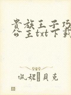 贵族王子巧遇穷公主txt下载