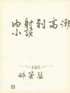 内射到高潮的H小说