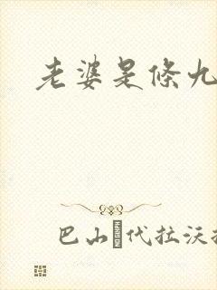 老婆是条九尾狐