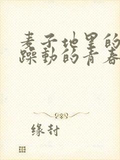 麦子地里的故事躁动的青春小说