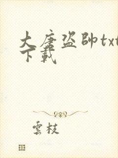 大唐盗帅txt下载